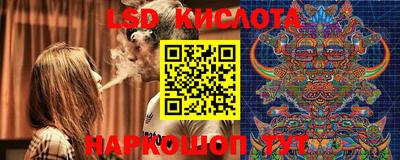 apvp Краснодар